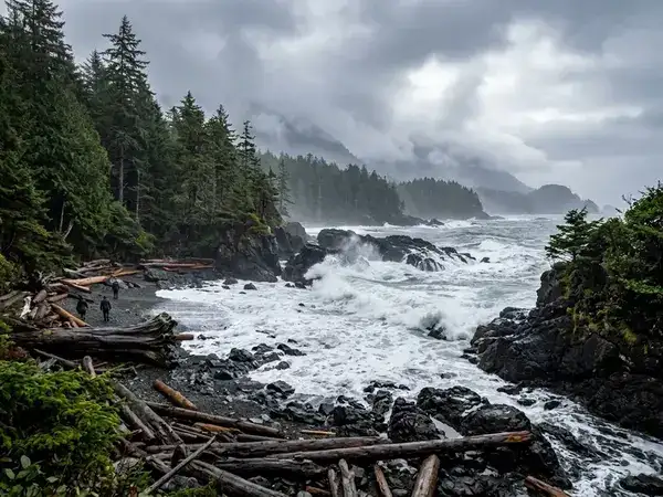 Pacific Rim coastline view in Vancouver Island